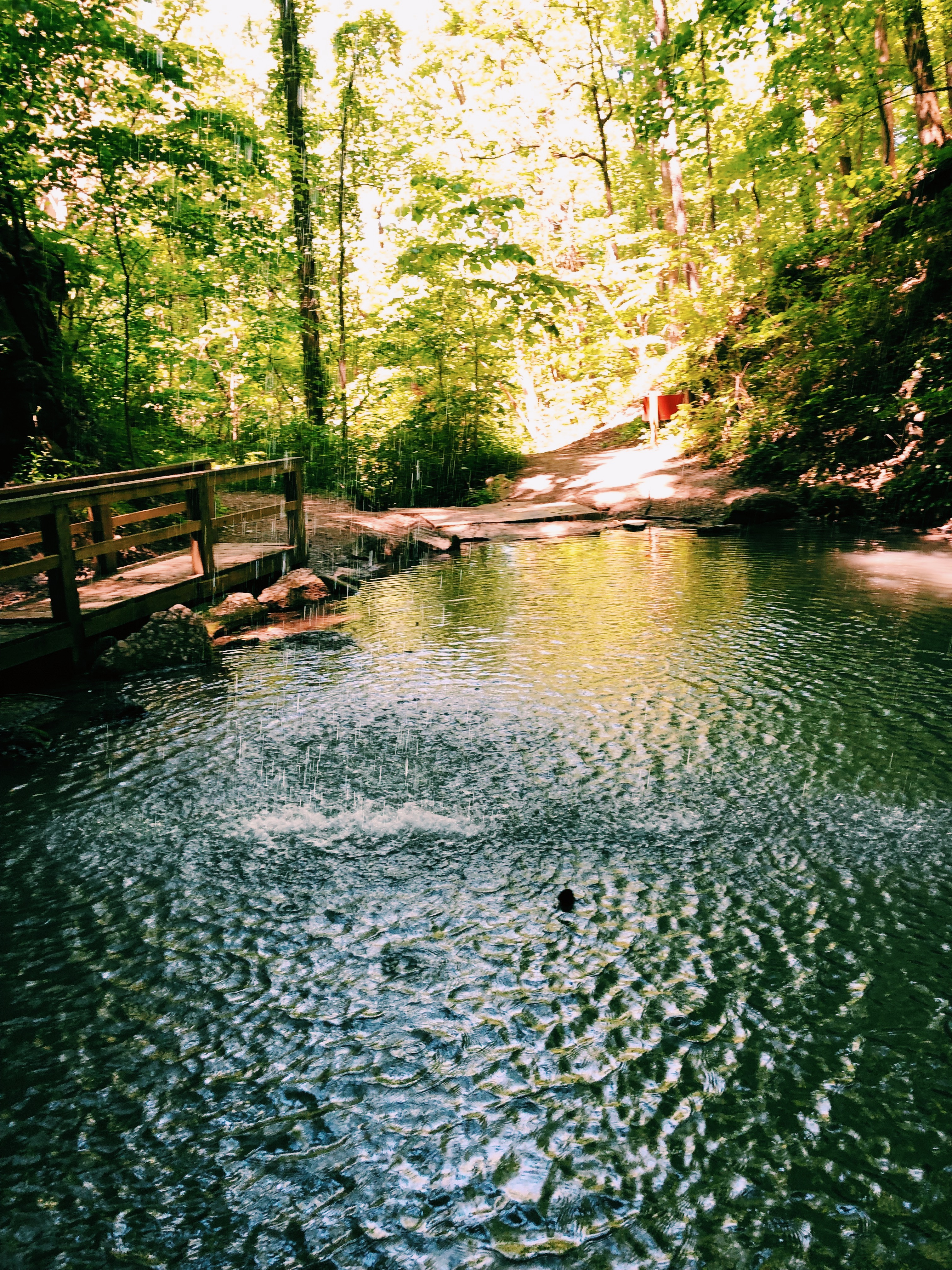 Hiking the Marble Mine Trail at Sloppy Floyd State Park