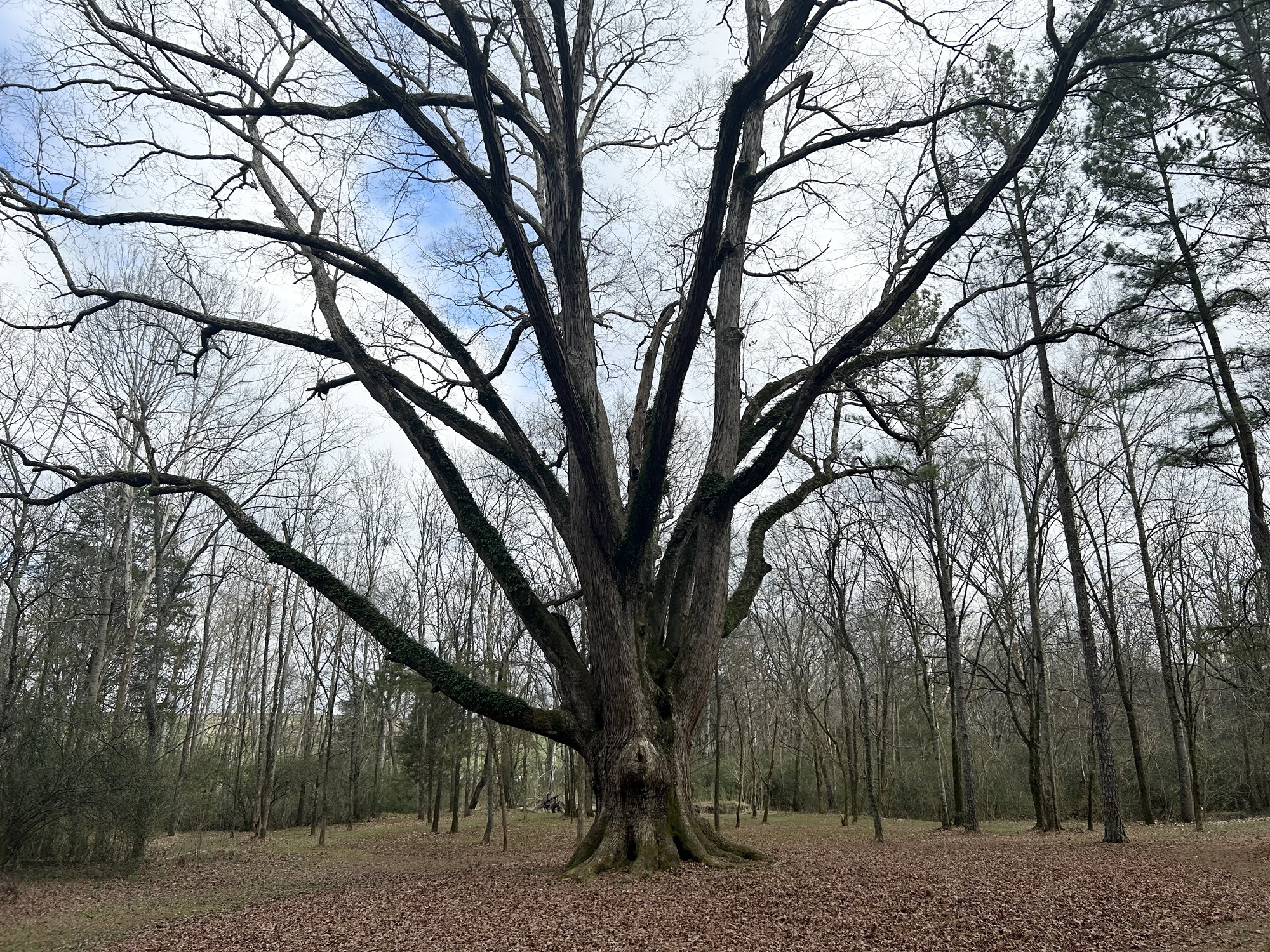 Interesting history in Bartow County, Georgia