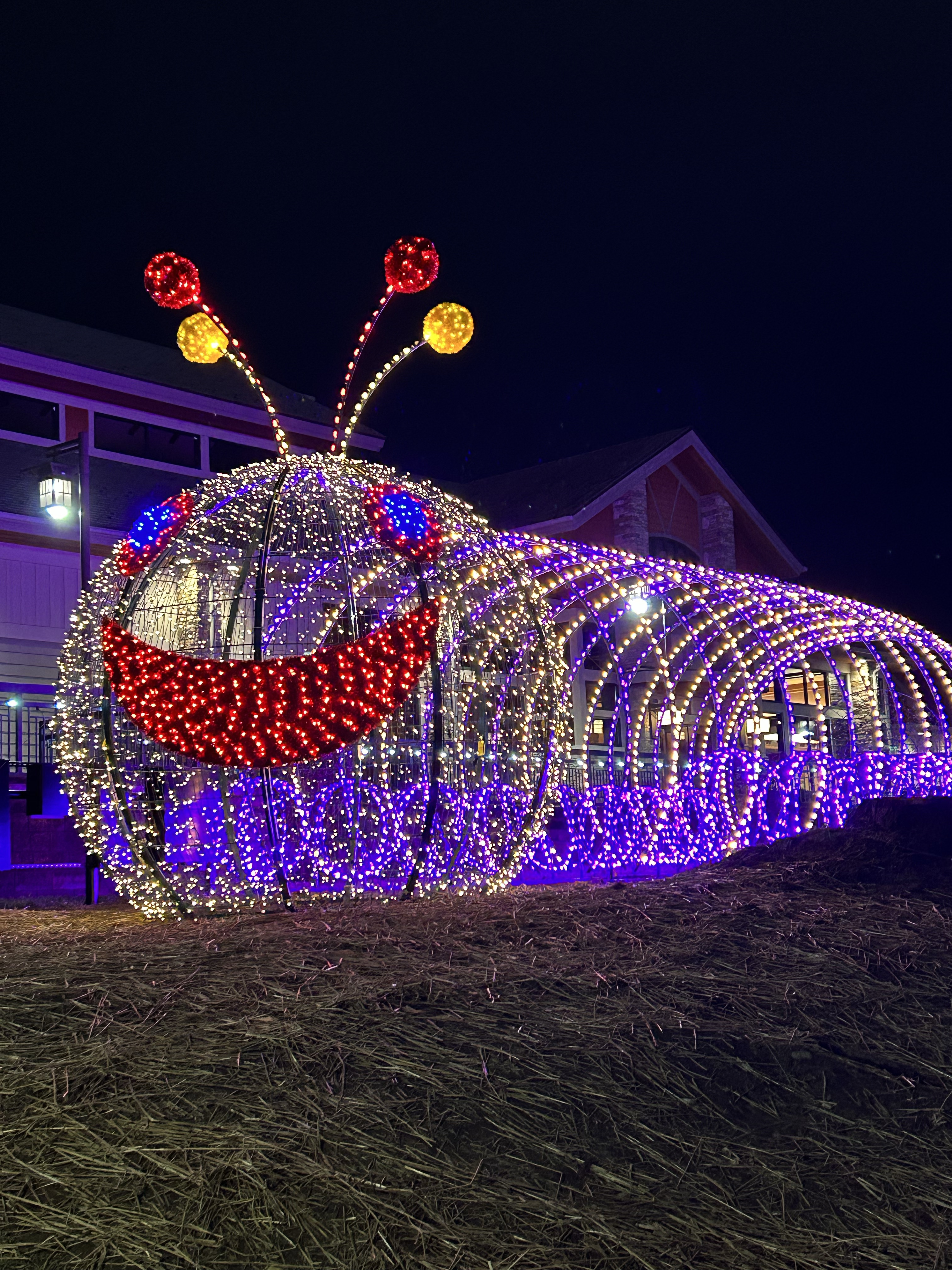 The holiday season is the perfect time to visit the Smoky Mountains