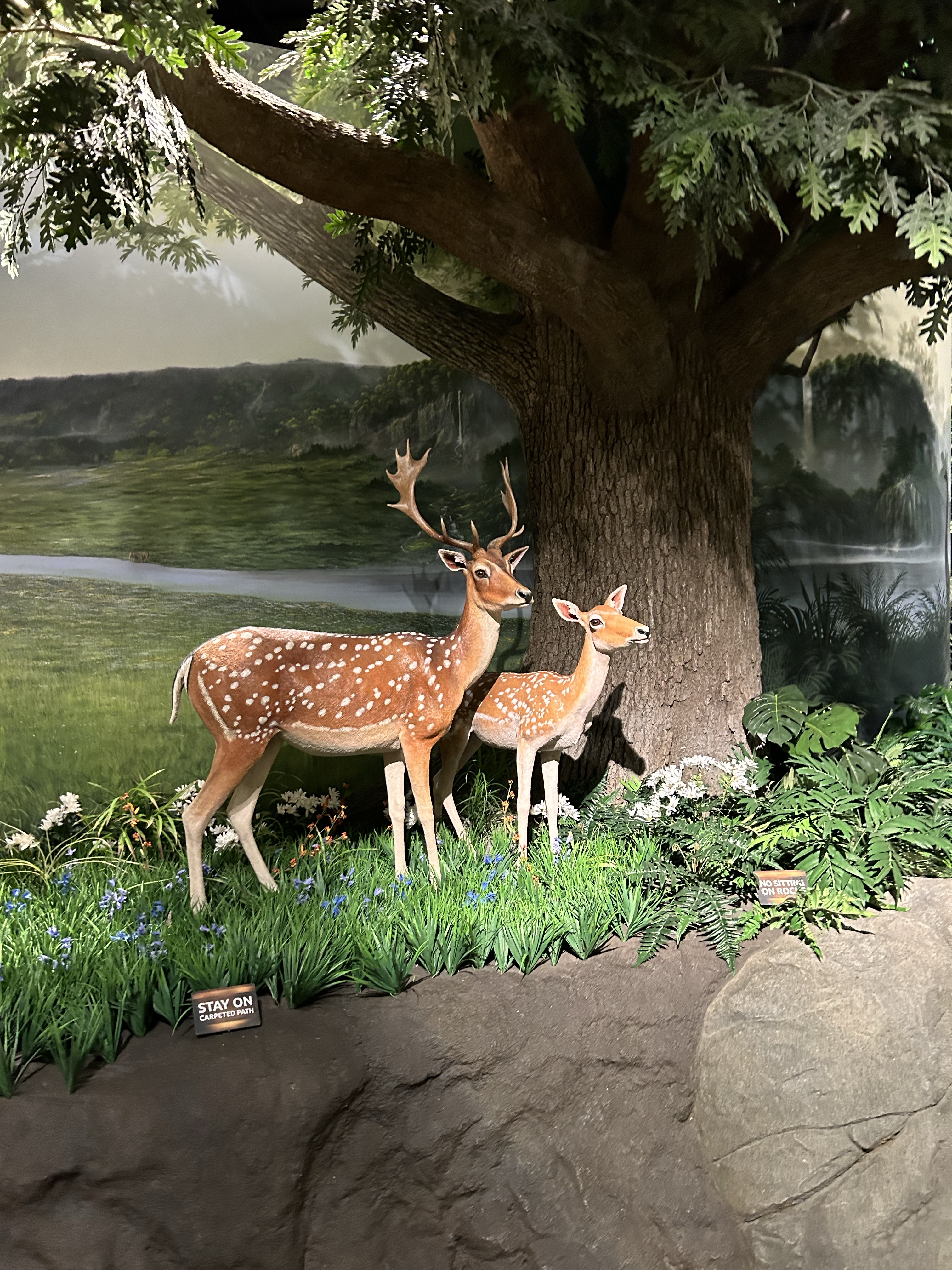 Eight tips for visiting Kentucky’s Creation Museum