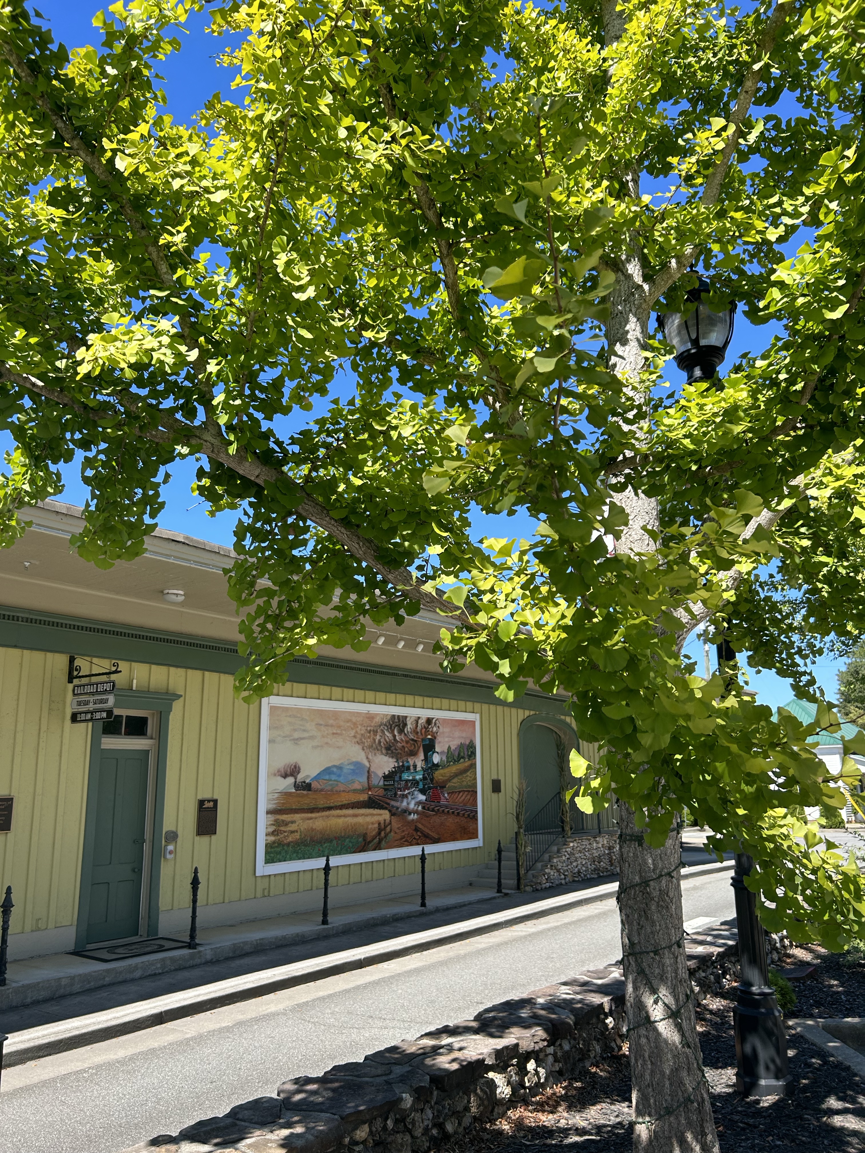 Five reasons you should visit Adairsville, Ga.