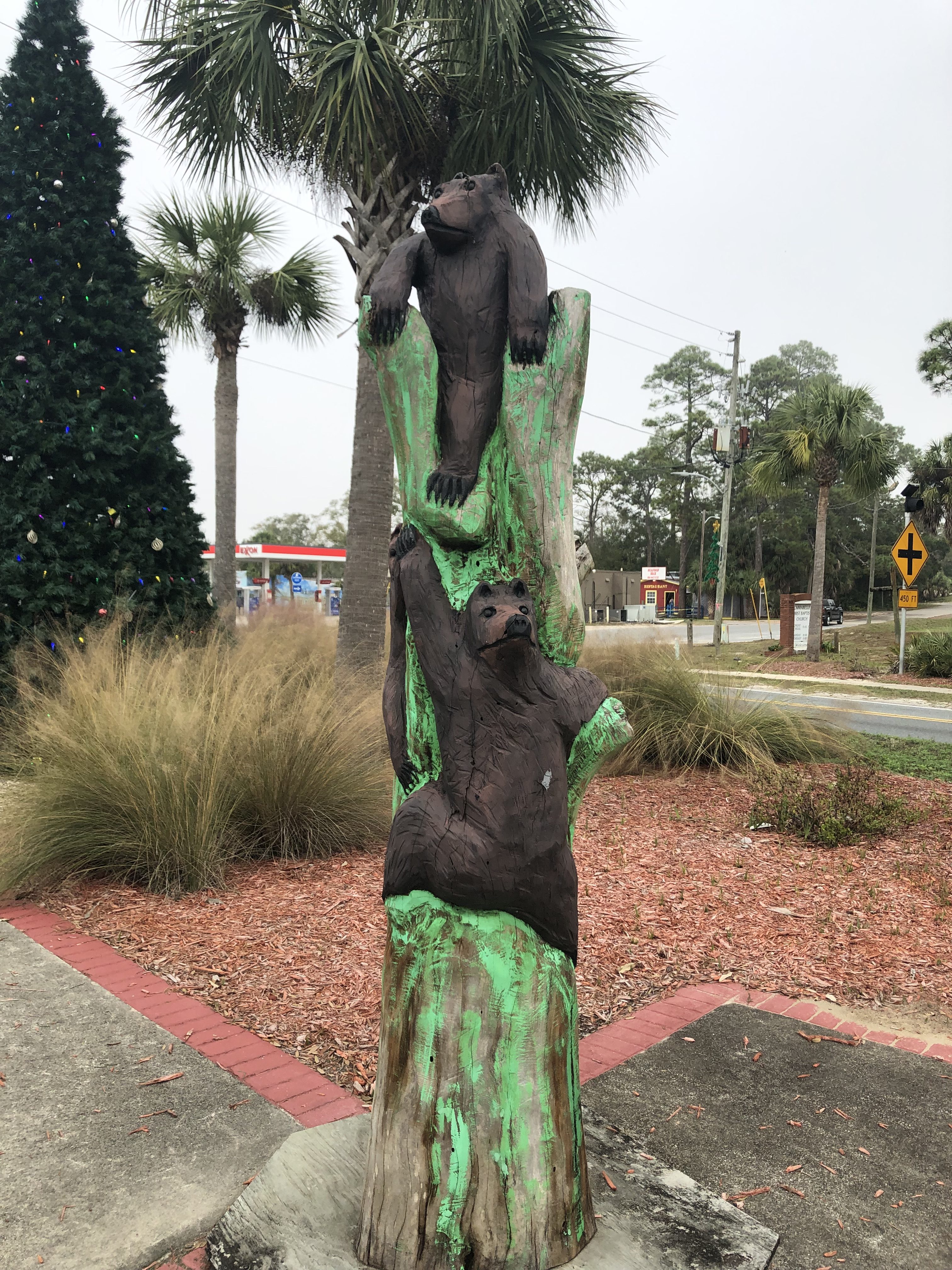 The bears of Carrabelle, Florida